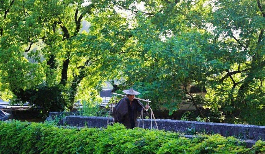 救援白虎