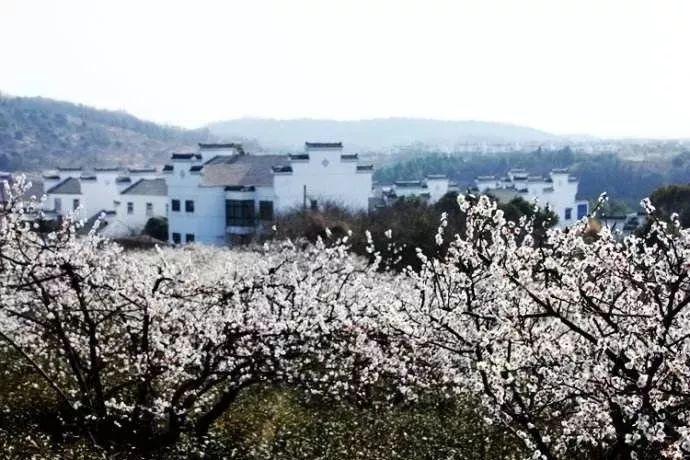 勇士吹泡泡