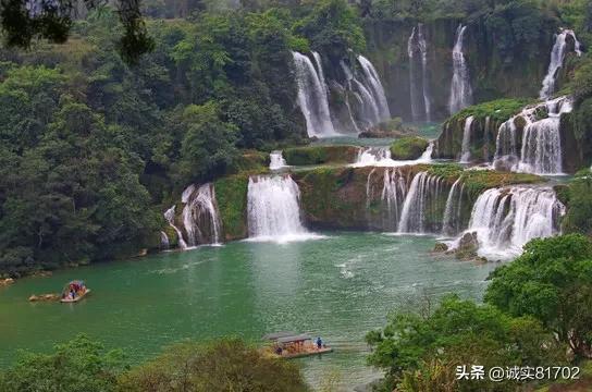 拯救小萌虎