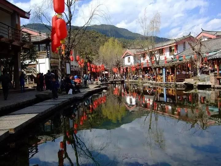 蝎子逃生之地